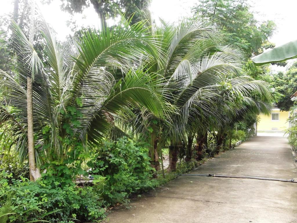 Wilai Villa Lamai Maret Стая снимка